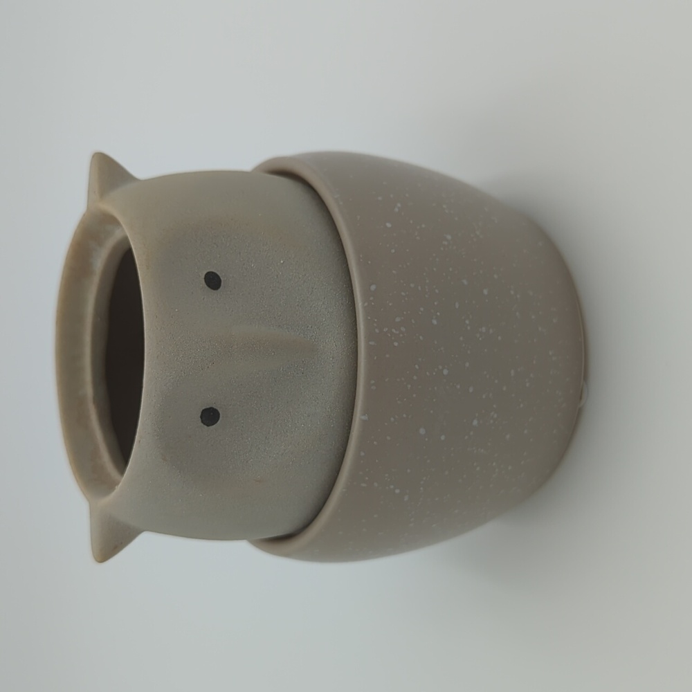 LiveTrends Scops Owl Grey Earthenware Planter Cute Stoic Philosophy Home Decor